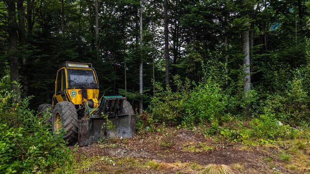 a yellow and black tractor sitting in the woods photo