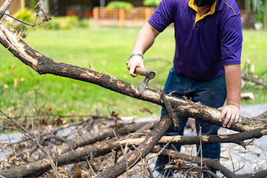 asian worker axe the logs dead tree to small pieces for next process photo