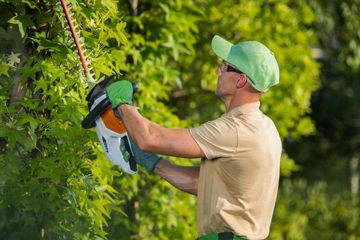 gardener using hedge trimmer photo (1)